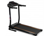 Беговая дорожка Carbon Fitness T306